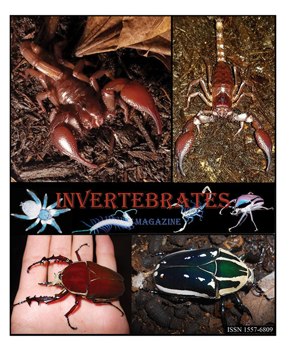 Invertebrates-Magazine (2023)