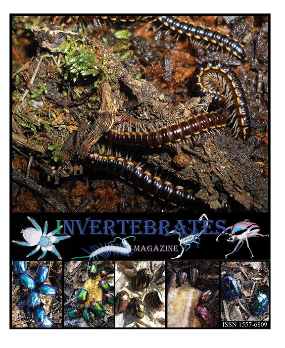 Invertebrates-Magazine (2022)