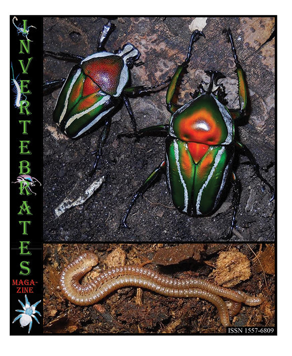 Invertebrates-Magazine (2023)