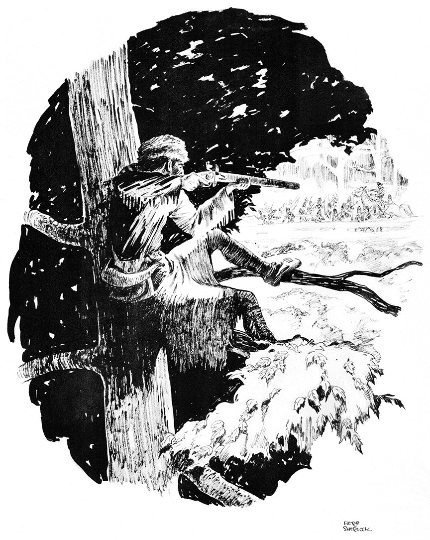 Black Powder Snapshots