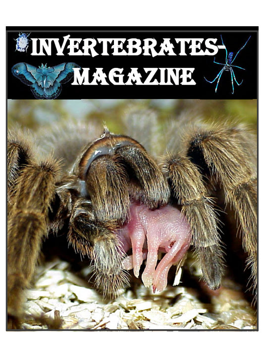 Invertebrates-Magazine (2001-2002)