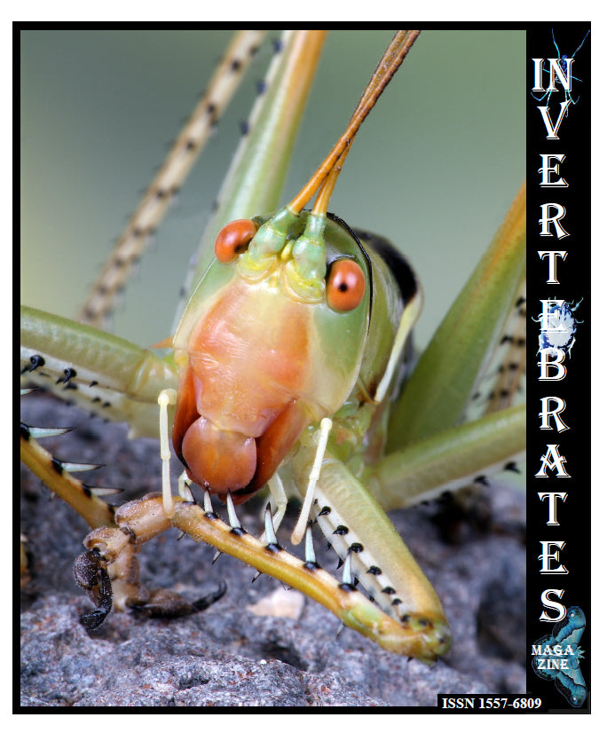 Invertebrates-Magazine (2005)