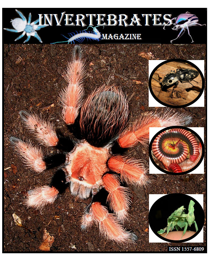 Invertebrates-Magazine (2006)