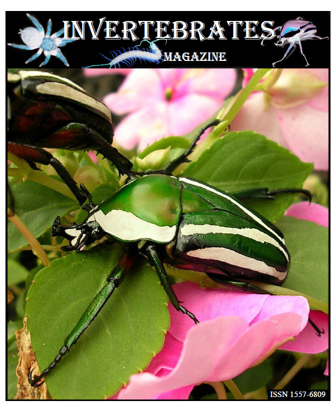Invertebrates-Magazine (2006)