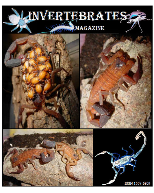 Invertebrates-Magazine (2007)