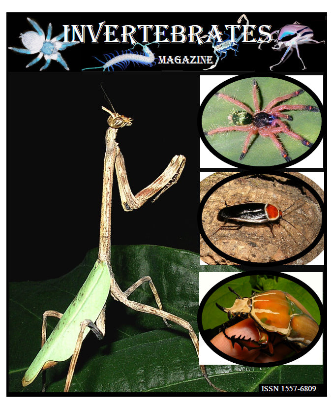 Invertebrates-Magazine (2007)