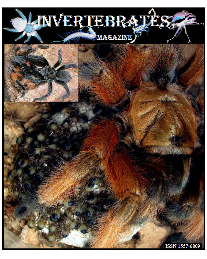 Invertebrates-Magazine (2008)