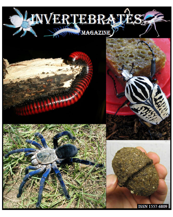 Invertebrates-Magazine (2009)
