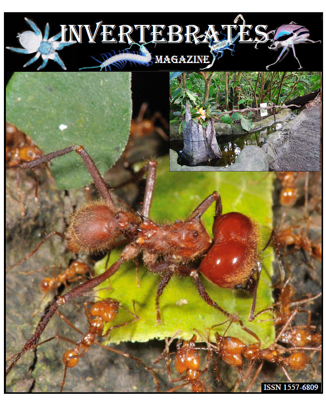 Invertebrates-Magazine (2010)
