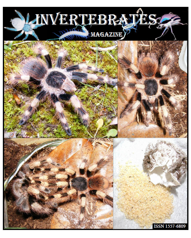 Invertebrates-Magazine (2010)