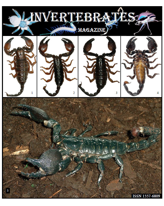 Invertebrates-Magazine (2011)