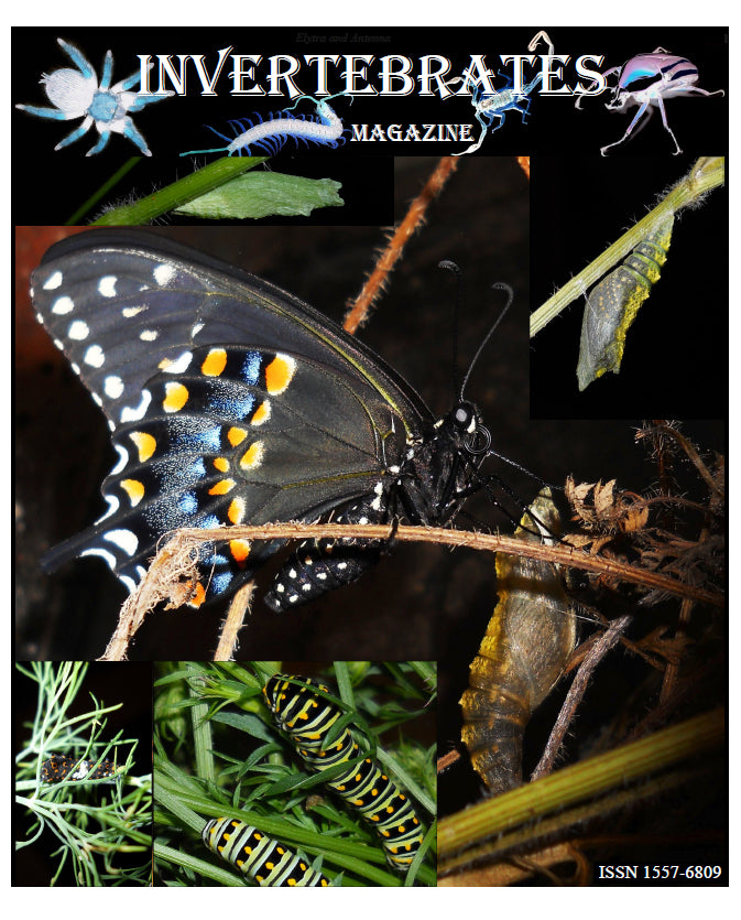 Invertebrates-Magazine (2012)