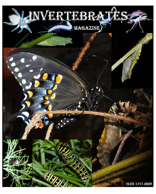 Invertebrates-Magazine (2012)