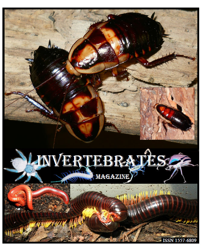 Invertebrates-Magazine (2012)