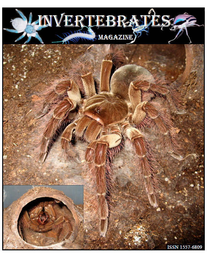 Invertebrates-Magazine (2012)