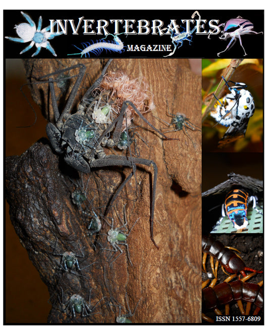 Invertebrates-Magazine (2014)