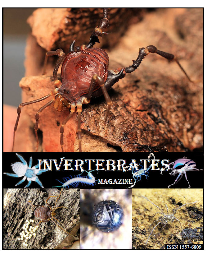 Invertebrates-Magazine (2014)