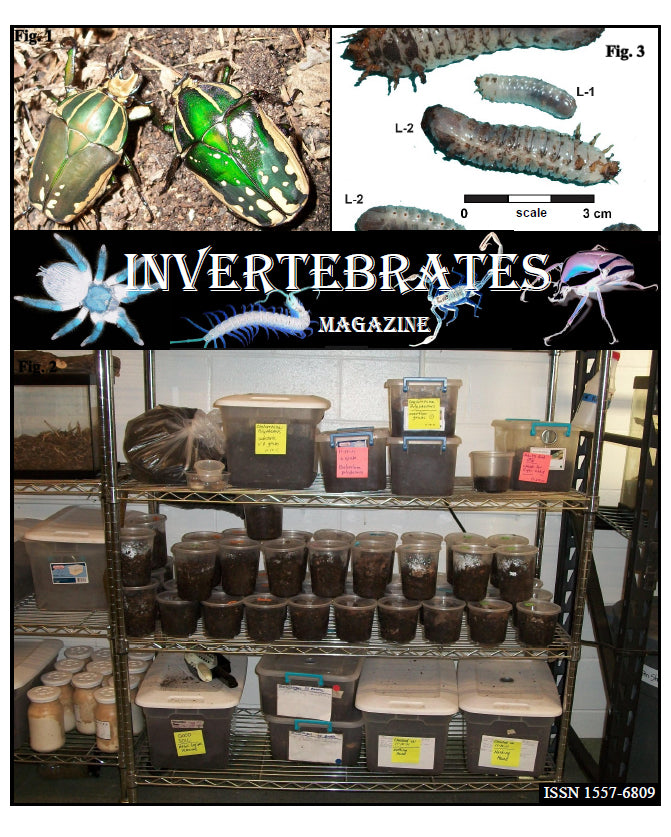 Invertebrates-Magazine (2014)
