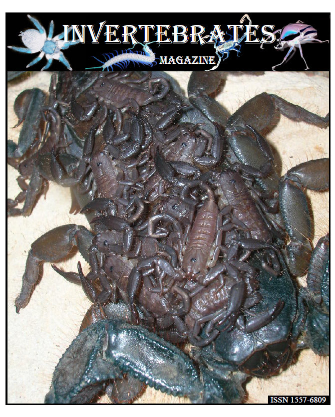 Invertebrates-Magazine (2014)