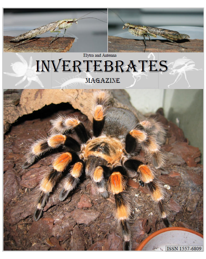 Invertebrates-Magazine (2015)