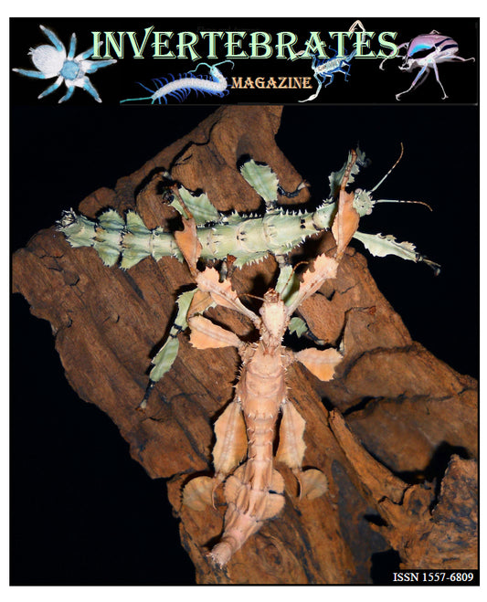 Invertebrates-Magazine (2017)