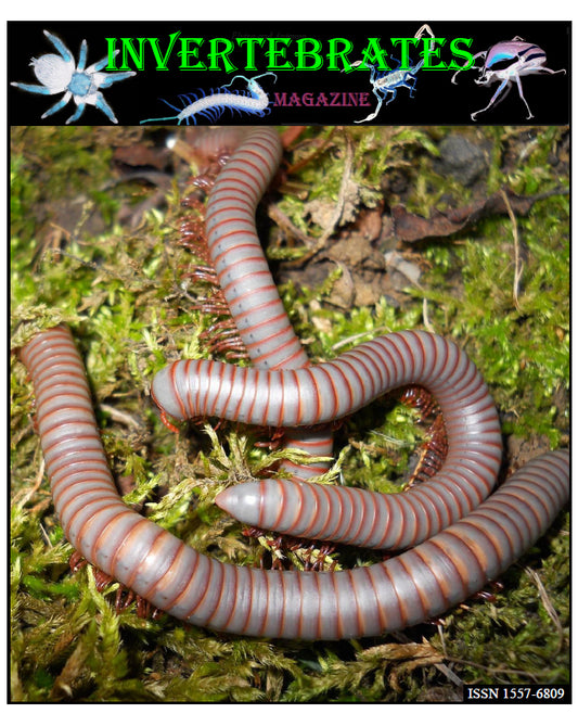 Invertebrates-Magazine (2018)