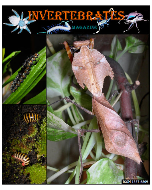 Invertebrates-Magazine (2019)