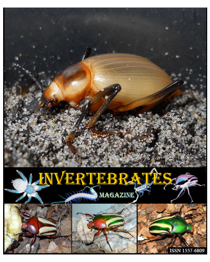 Invertebrates-Magazine (2019)