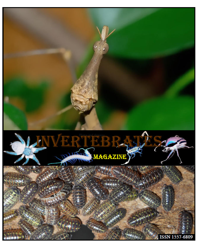Invertebrates-Magazine (2020)