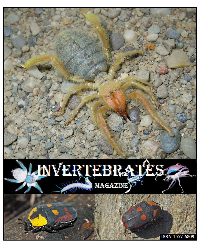 Invertebrates-Magazine (2020)