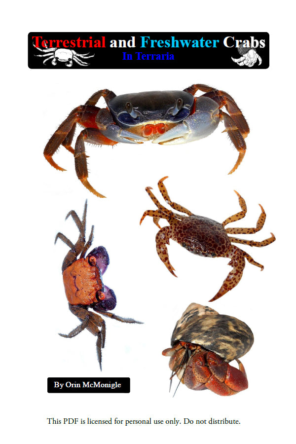 Terrestrial and Freshwater Crabs in Terraria