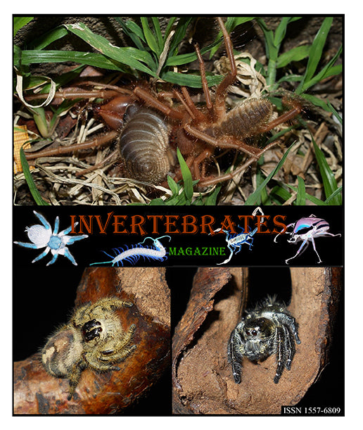Invertebrates-Magazine (2021)
