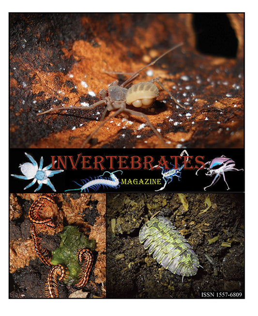 Invertebrates-Magazine (2022)