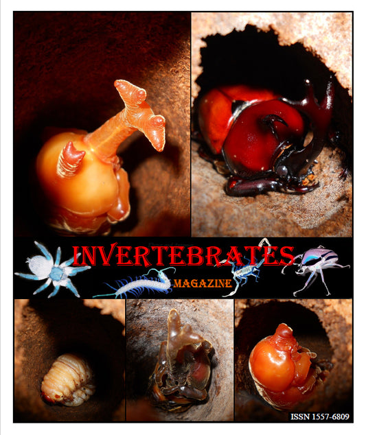 Invertebrates-Magazine (2021)