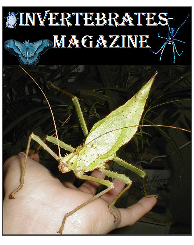 Invertebrates-Magazine (2001-2002)