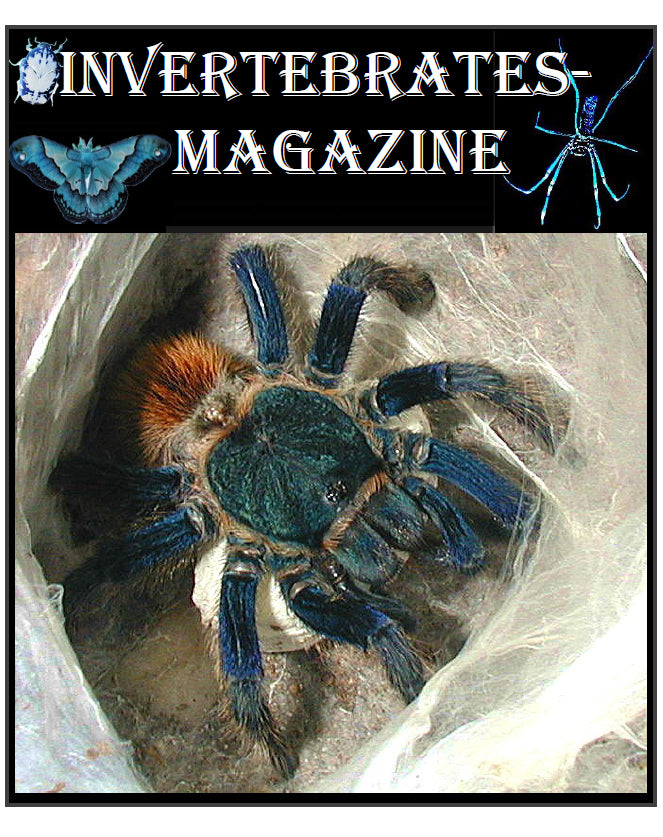 Invertebrates-Magazine (2003)