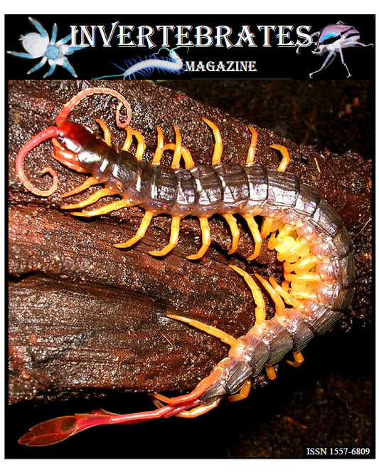 Invertebrates-Magazine (2006)