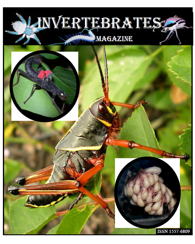 Invertebrates-Magazine (2006)
