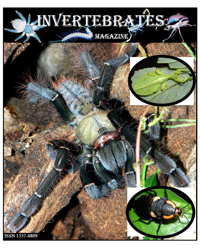Invertebrates-Magazine (2007)