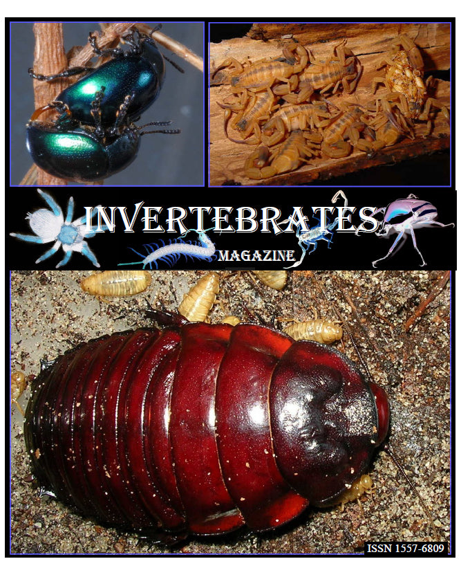 Invertebrates-Magazine (2008)