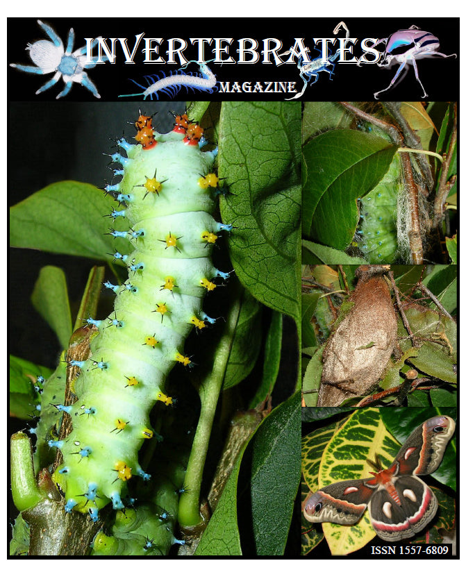 Invertebrates-Magazine (2009)