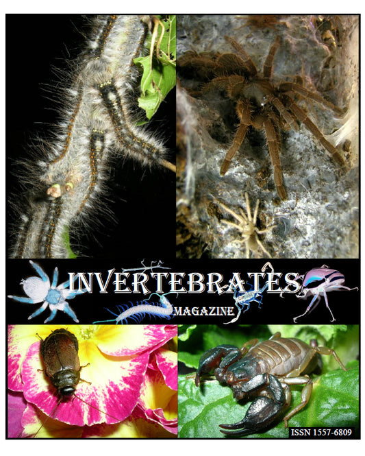Invertebrates-Magazine (2010)