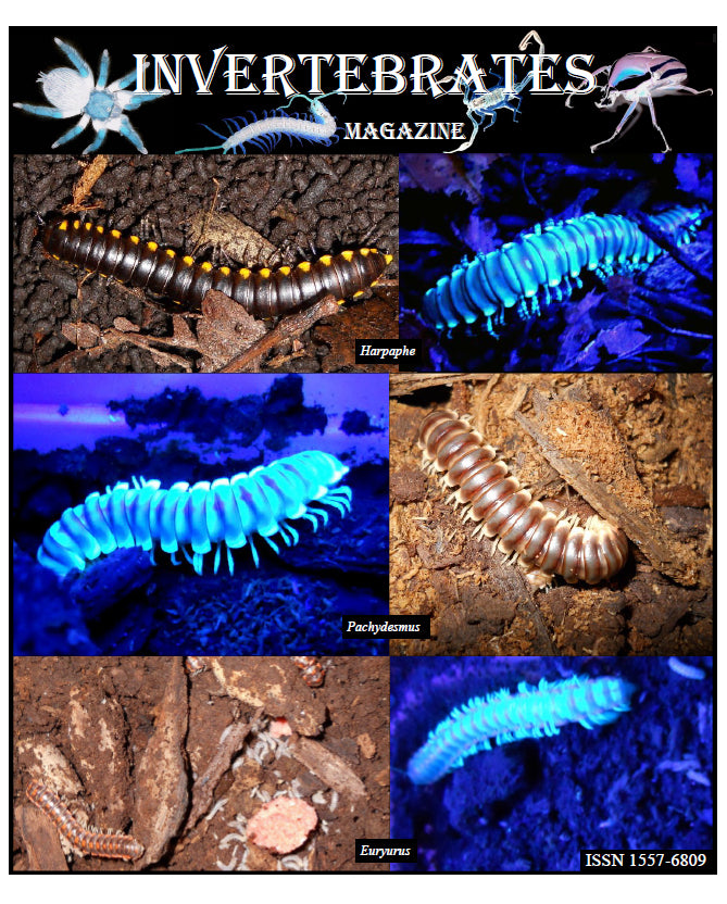 Invertebrates-Magazine (2010)