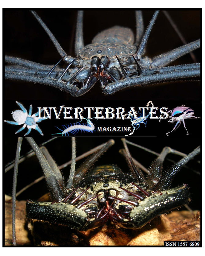 Invertebrates-Magazine (2011)