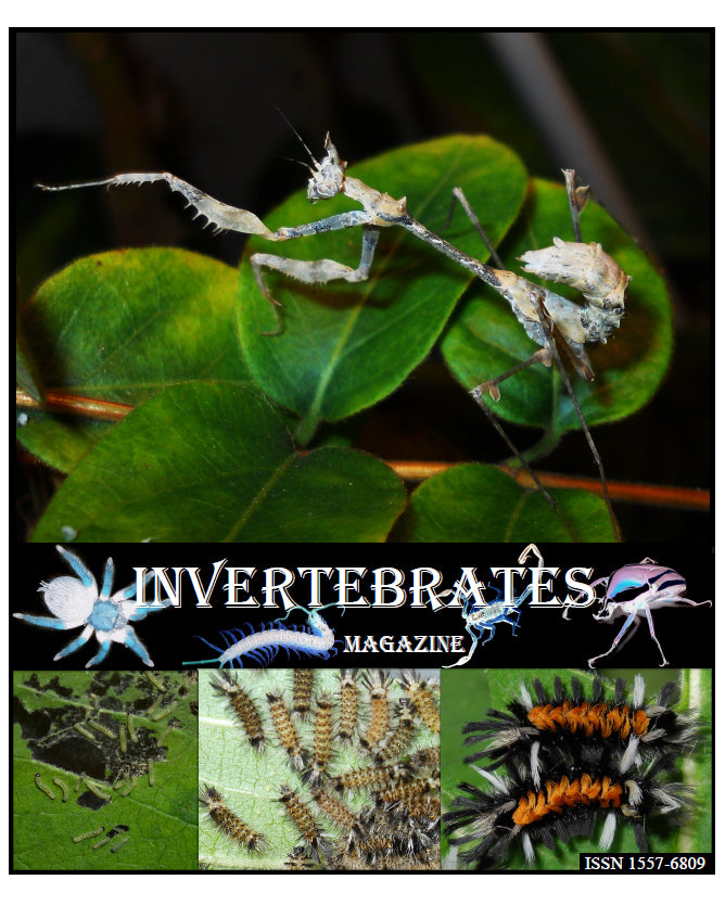Invertebrates-Magazine (2012)