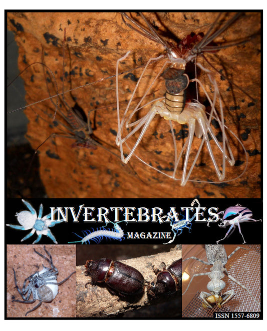 Invertebrates-Magazine (2013)