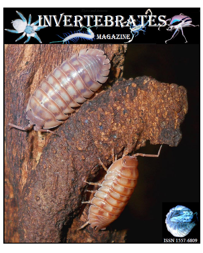 Invertebrates-Magazine (2013)