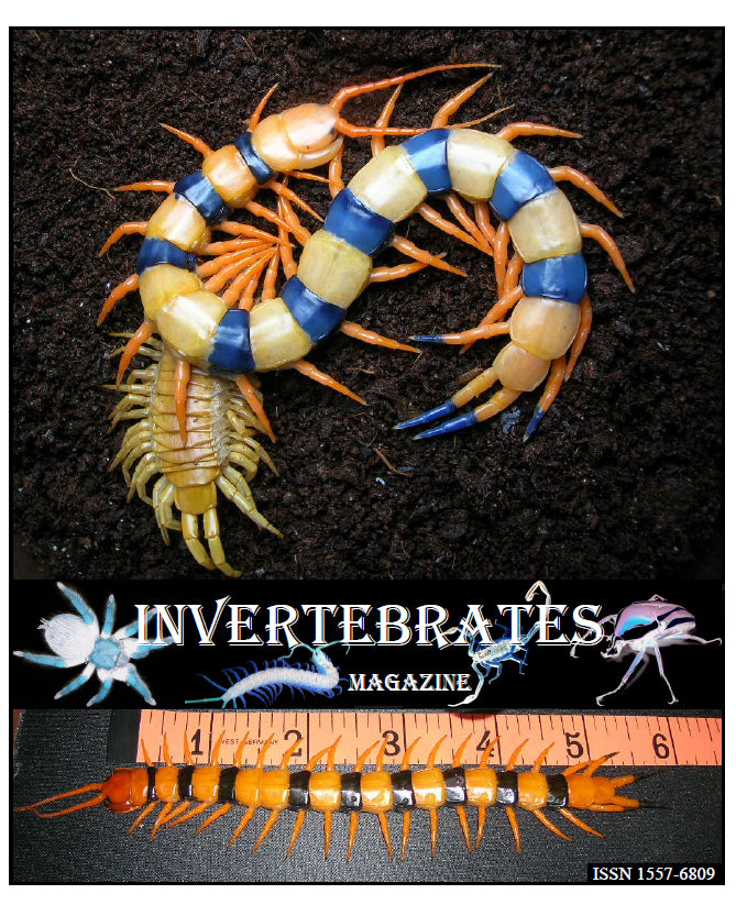 Invertebrates-Magazine (2013)