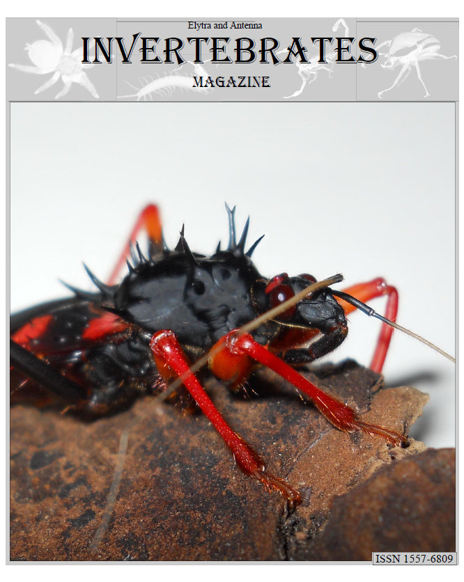 Invertebrates-Magazine (2015)