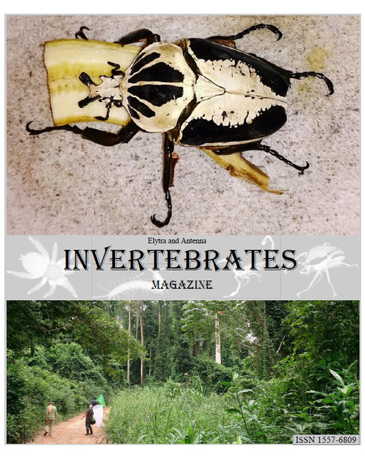 Invertebrates-Magazine (2016)